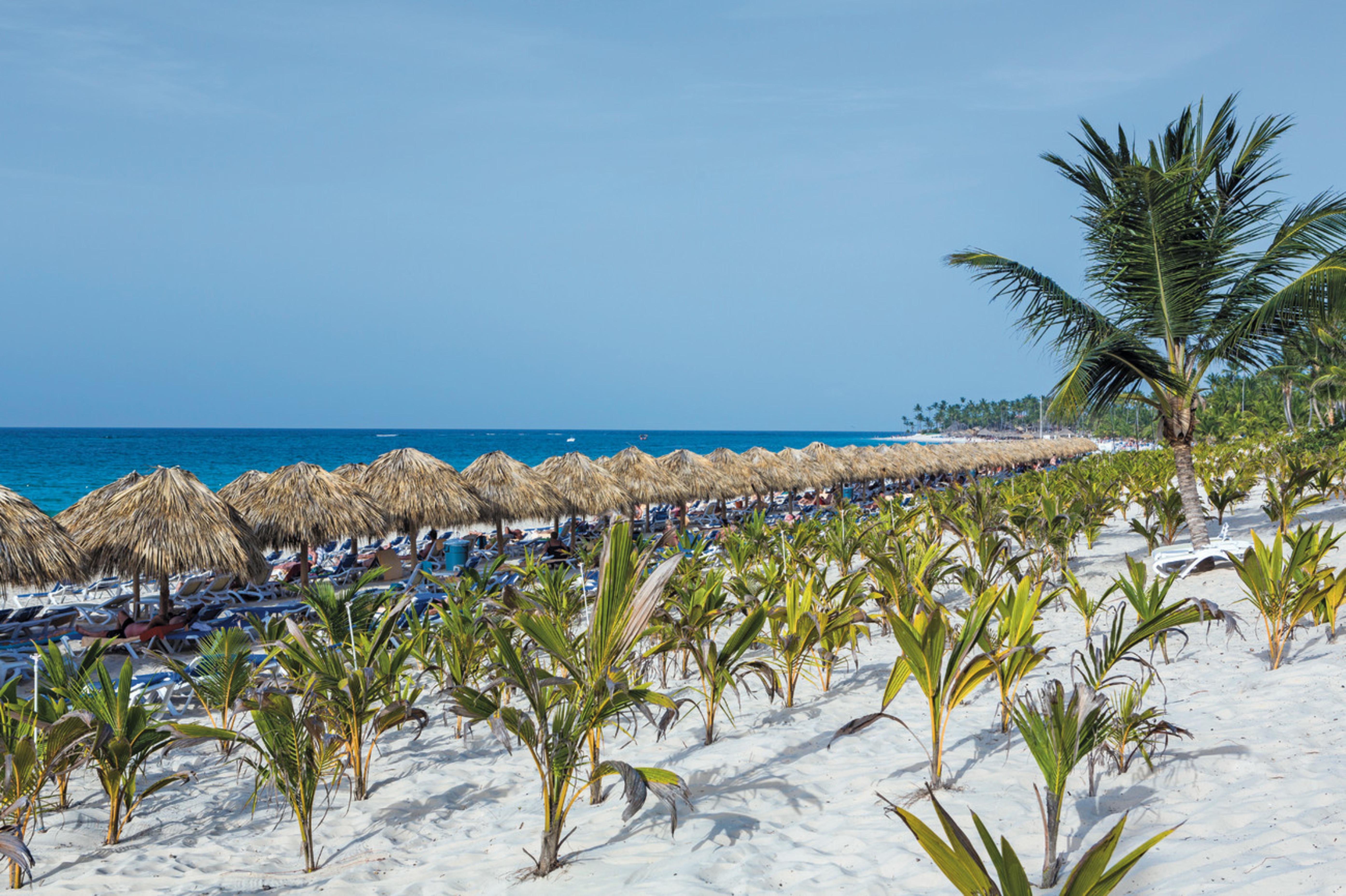 Riu Republica (Adults Only) Ξενοδοχείο Πούντα Κάνα Εξωτερικό φωτογραφία